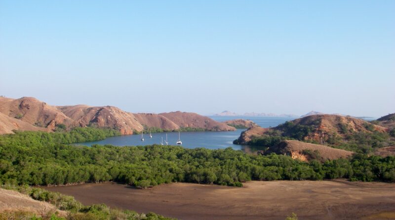 Surga Tersembunyi Di Nusa Tenggara Timur Pulau Komodo