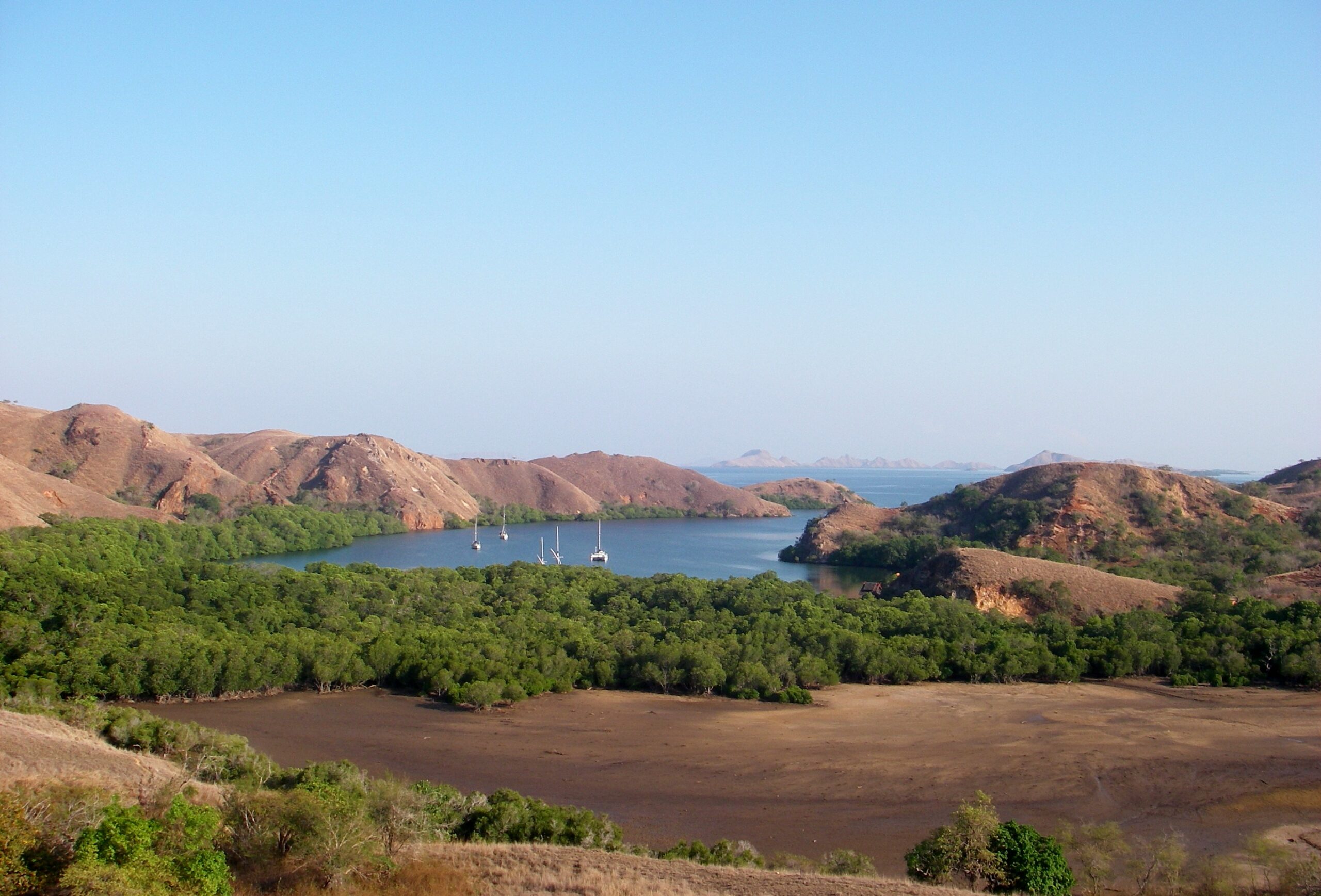 Surga Tersembunyi Di Nusa Tenggara Timur Pulau Komodo