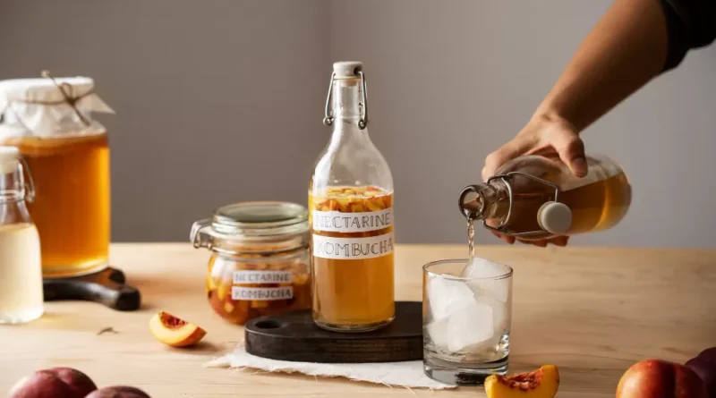 Minuman Fermentasi Kombucha Untuk Tubuh Dan Pikiran