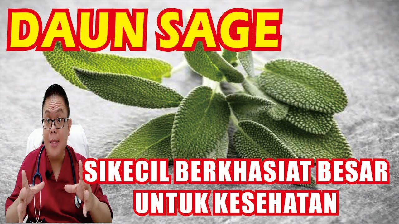 Daun Sage