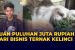 Bisnis Ternak Kelinci