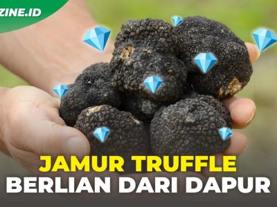 Keunikan Jamur Truffle