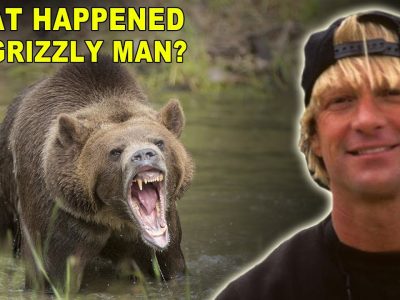 Kisah Timothy Treadwell