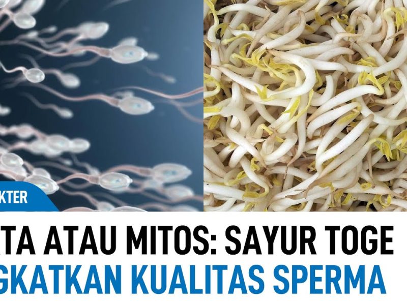 Mitos Vs Fakta