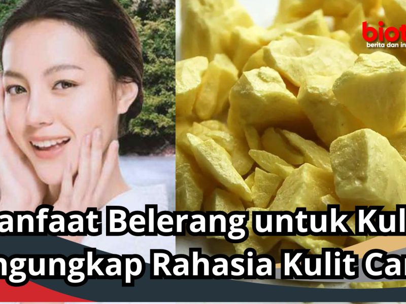 Khasiat Sulfur Untuk Kulit