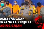 Penyelundupan Gading Ilegal