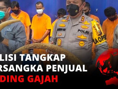 Penyelundupan Gading Ilegal