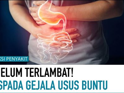 Gejala Penyakit Usus Buntu