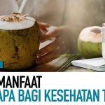 Khasiat Air Kelapa Untuk Kesehatan Tubuh Yang Jarang Diketahui