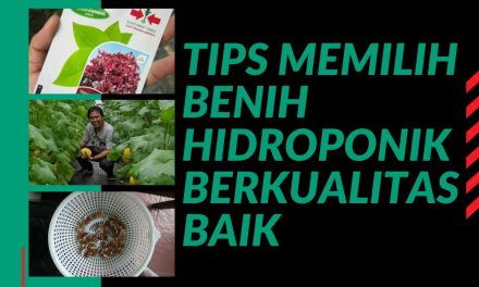 Pemilihan Benih Sayuran: Langkah Awal Menuju Panen Sukses