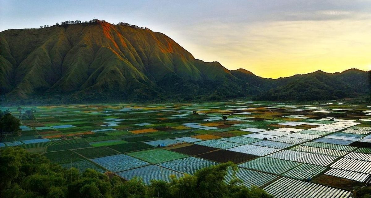Bukit Selong, Destinasi Perpaduan Eksotis Di Kaki Gunung Rinjani
