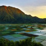 Bukit Selong, Destinasi Perpaduan Eksotis Di Kaki Gunung Rinjani