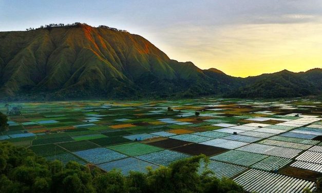 Bukit Selong, Destinasi Perpaduan Eksotis Di Kaki Gunung Rinjani