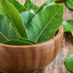 Khasiat Daun Salam Di Pakai Untuk Pengobatan Tradisional Lo!