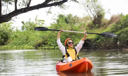 Mengulik Kawasan Ekowisata Mangrove Di Pantai Baros