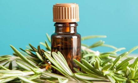 Rosemary Oil Memiliki Manfaat Bagi Rambut