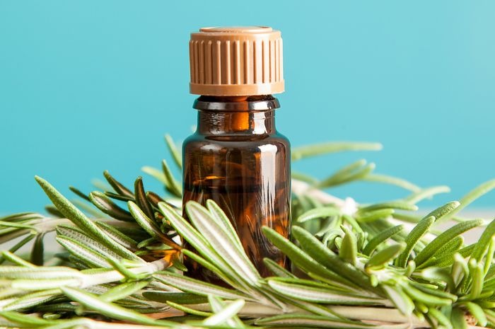 Rosemary Oil