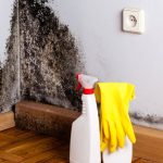 Sangat Bahaya, Black Mold Di Dinding Harus Di Hilangkan